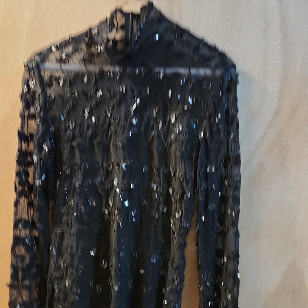 Black Sequin Lace Long Sleeve Top